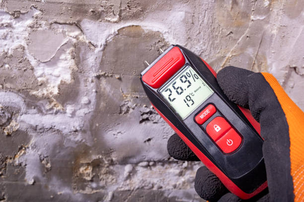 Best Commercial Mold Remediation in Normandy, MO