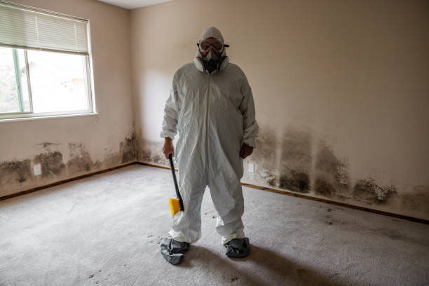 Best Mold Remediation for Specific Building Types in Normandy, MO